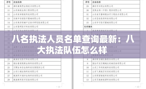 八名執法人員名單查詢最新:八大執法隊伍怎么樣