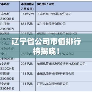 遼寧省公司市值排行榜揭曉！