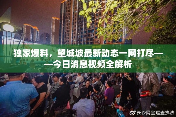 獨家爆料,望城坡最新動態(tài)一網(wǎng)打盡——今日消息視頻全解析