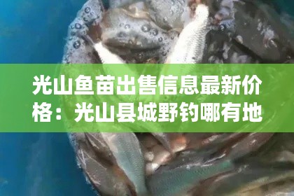 光山魚(yú)苗出售信息最新價(jià)格:光山縣城野釣?zāi)挠械胤?