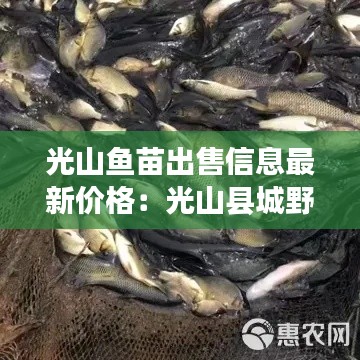 光山魚苗出售信息最新價格:光山縣城野釣哪有地方