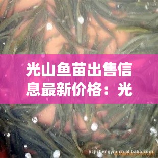 光山魚苗出售信息最新價格:光山縣城野釣哪有地方