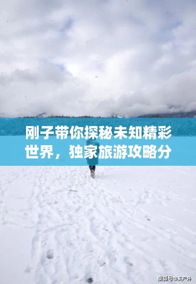 剛子帶你探秘未知精彩世界,獨家旅游攻略分享