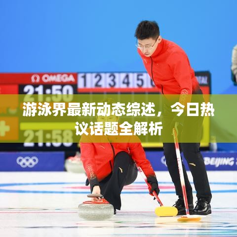 游泳界最新動態綜述，今日熱議話題全解析