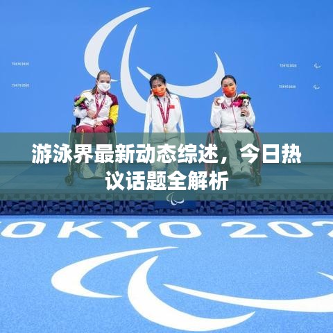 游泳界最新動態綜述,今日熱議話題全解析