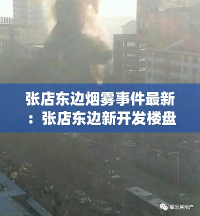 張店東邊煙霧事件最新:張店東邊新開發樓盤價格