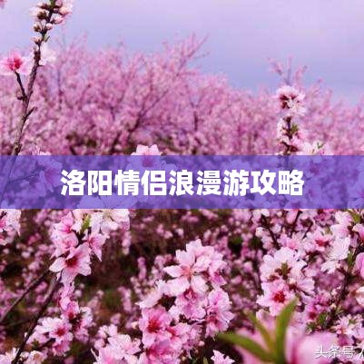 洛陽情侶浪漫游攻略