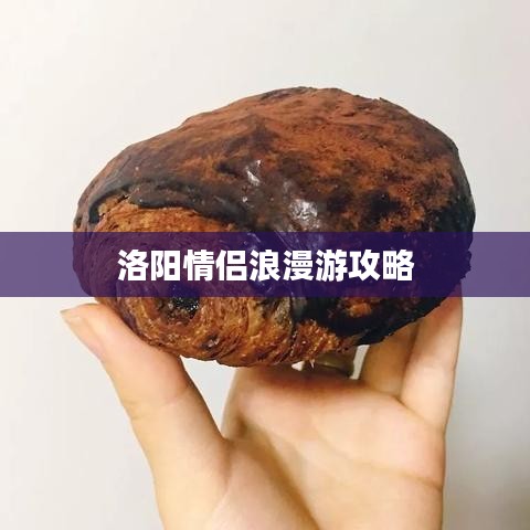 洛陽情侶浪漫游攻略