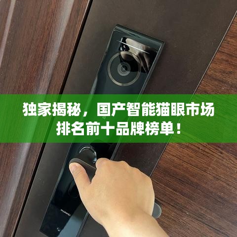 獨家揭秘,國產(chǎn)智能貓眼市場排名前十品牌榜單!