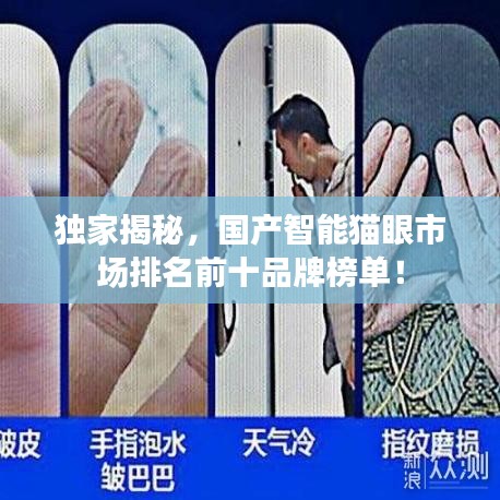 獨家揭秘,國產智能貓眼市場排名前十品牌榜單!