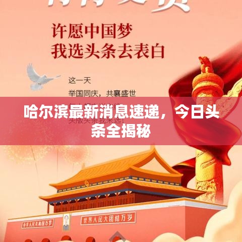 哈爾濱最新消息速遞,今日頭條全揭秘