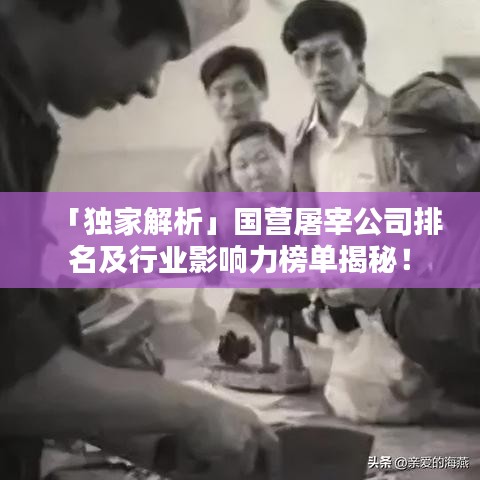「獨家解析」國營屠宰公司排名及行業影響力榜單揭秘!