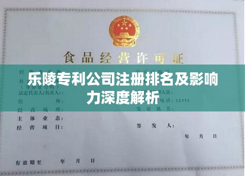 樂陵專利公司注冊排名及影響力深度解析