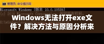 Windows無法打開exe文件?解決方法與原因分析來幫你解決!