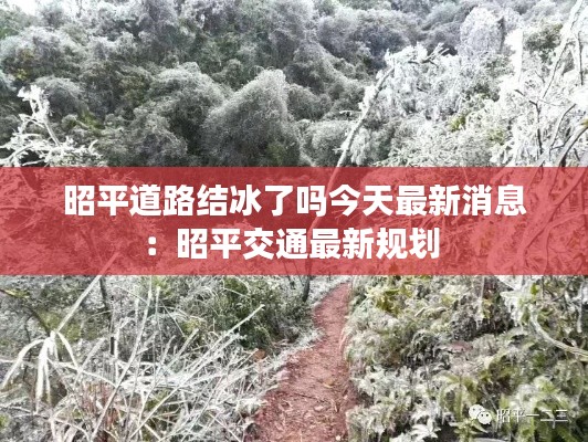 昭平道路結冰了嗎今天最新消息:昭平交通最新規劃