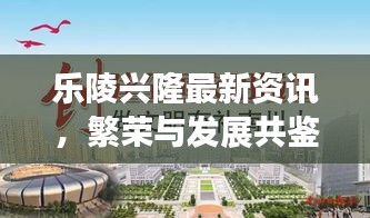 樂陵興隆最新資訊,繁榮與發展共鑒時刻