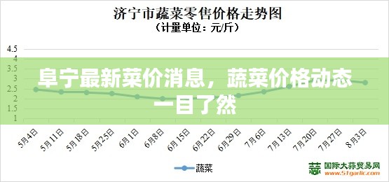 阜寧最新菜價消息,蔬菜價格動態一目了然