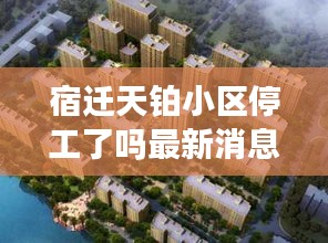 宿遷天鉑小區停工了嗎最新消息:宿遷天鉑購物廣場最新信息