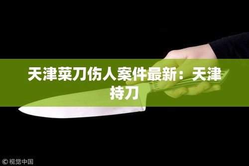 天津菜刀傷人案件最新:天津 持刀