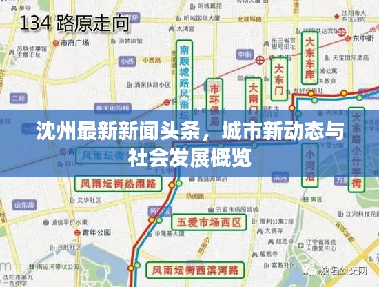 沈州最新新聞頭條,城市新動態與社會發展概覽