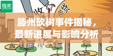 滕州砍樹事件揭秘,最新進(jìn)展與影響分析