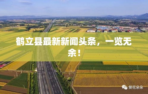 鶴立縣最新新聞頭條，一覽無余！