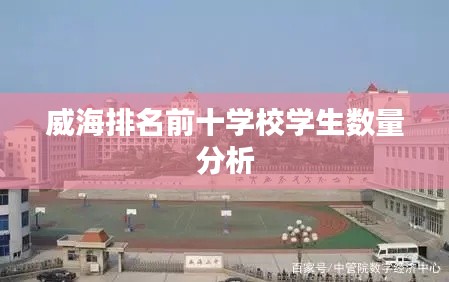 威海排名前十學校學生數量分析