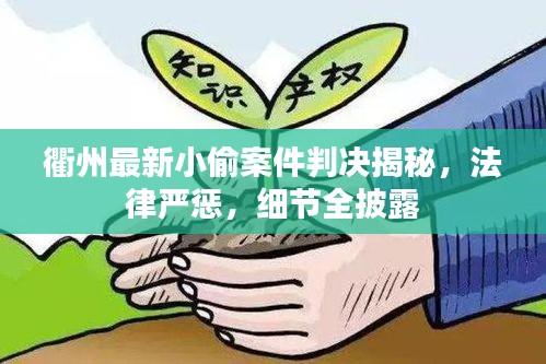 衢州最新小偷案件判決揭秘,法律嚴懲,細節(jié)全披露