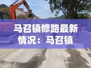 馬召鎮修路最新情況:馬召鎮政府網