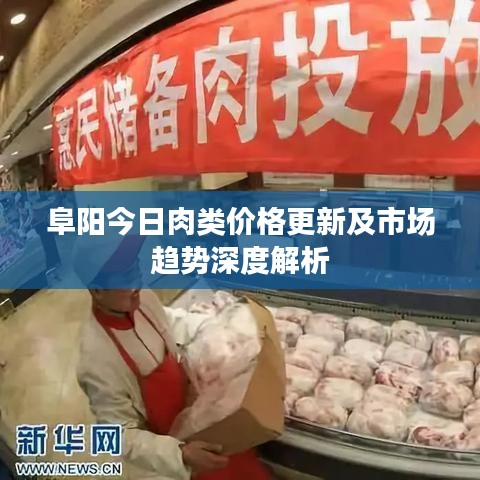 阜陽今日肉類價格更新及市場趨勢深度解析