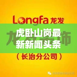 虎臥山崗最新新聞頭條,不容錯過的現場報道!
