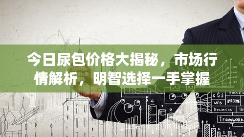 今日尿包價格大揭秘,市場行情解析,明智選擇一手掌握