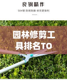 園林修剪工具排名TOP10及它們的重要性,專業(yè)解讀不容錯過