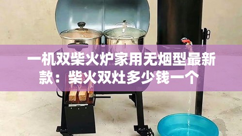 一機雙柴火爐家用無煙型最新款:柴火雙灶多少錢一個