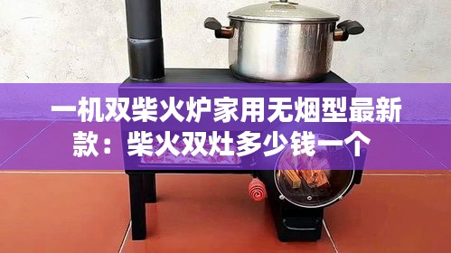 一機雙柴火爐家用無煙型最新款:柴火雙灶多少錢一個