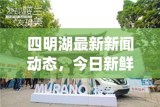 四明湖最新新聞動(dòng)態(tài),今日新鮮資訊簡(jiǎn)報(bào),不容錯(cuò)過(guò)!