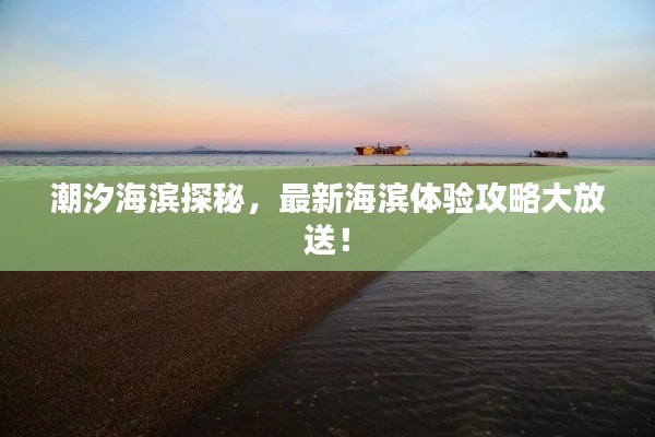 潮汐海濱探秘,最新海濱體驗攻略大放送!