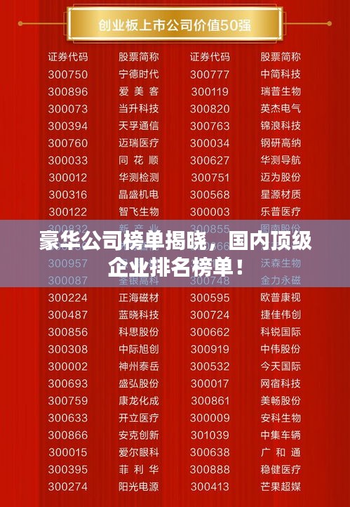 豪華公司榜單揭曉,國內頂級企業排名榜單!