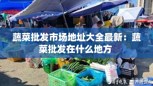 蔬菜批發市場地址大全最新:蔬菜批發在什么地方
