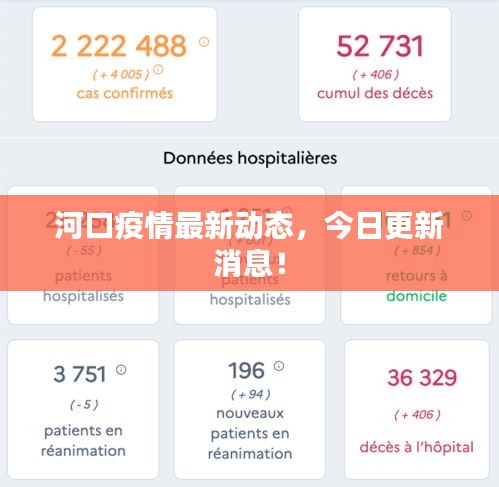 河口疫情最新動態(tài)，今日更新消息！