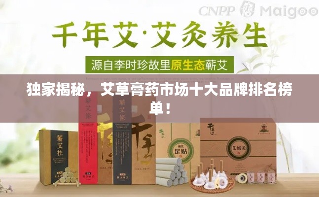 獨家揭秘，艾草膏藥市場十大品牌排名榜單！