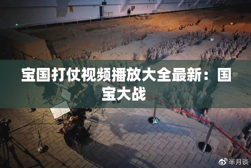 寶國打仗視頻播放大全最新:國寶大戰