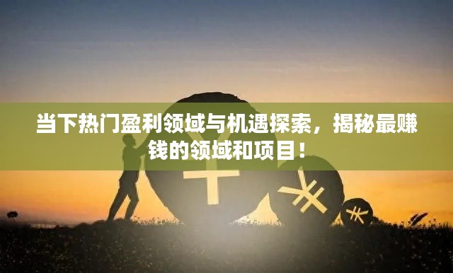 當下熱門盈利領域與機遇探索,揭秘最賺錢的領域和項目!