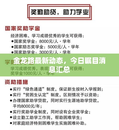 金龍路最新動態，今日矚目消息匯總