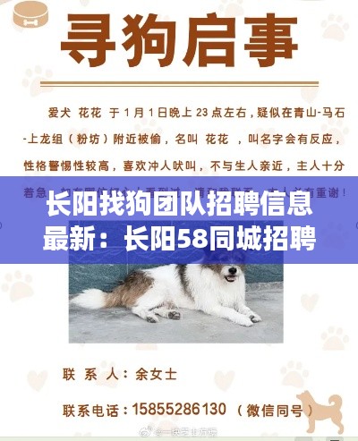 長陽找狗團隊招聘信息最新:長陽58同城招聘信息網(wǎng)