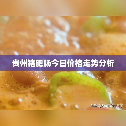 貴州豬肥腸今日價格走勢分析