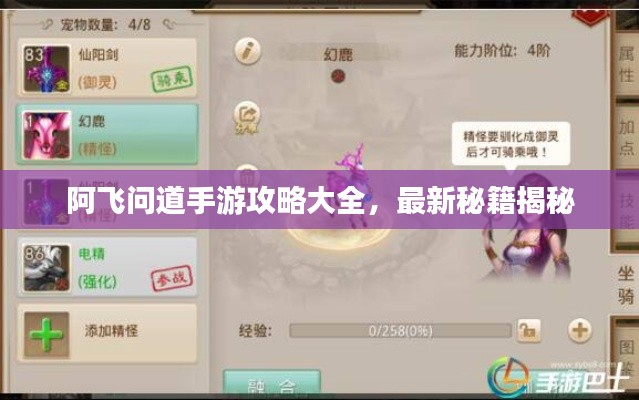 阿飛問道手游攻略大全,最新秘籍揭秘