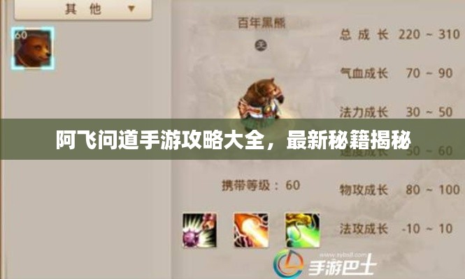阿飛問道手游攻略大全,最新秘籍揭秘