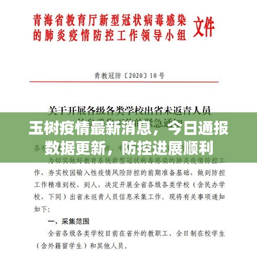玉樹疫情最新消息,今日通報數據更新,防控進展順利