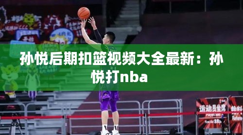 孫悅后期扣籃視頻大全最新:孫悅打nba